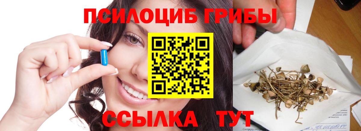 Хасавюрт  Псилоцибиновые грибы мухоморы  Вход с VPN  Псилоцибиновые грибы Psilocybine cubensis 